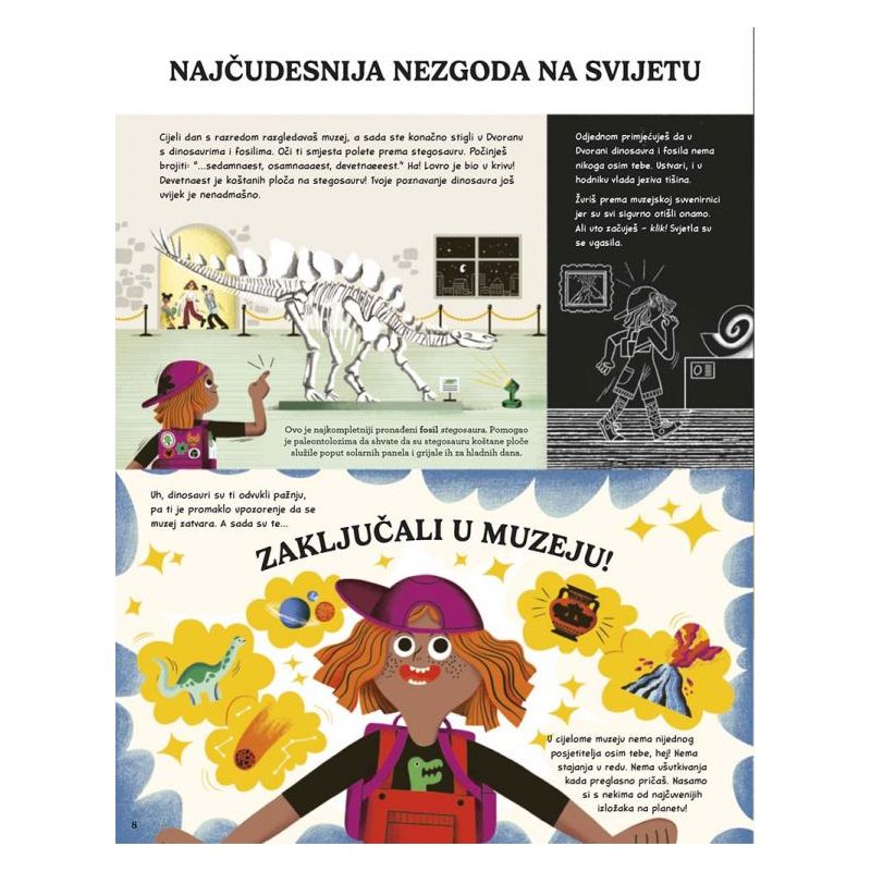 PUSTOLOVINA U MUZEJU Cijena Akcija